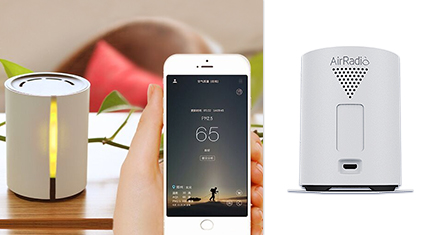 A2 SE Air Quality Monitor